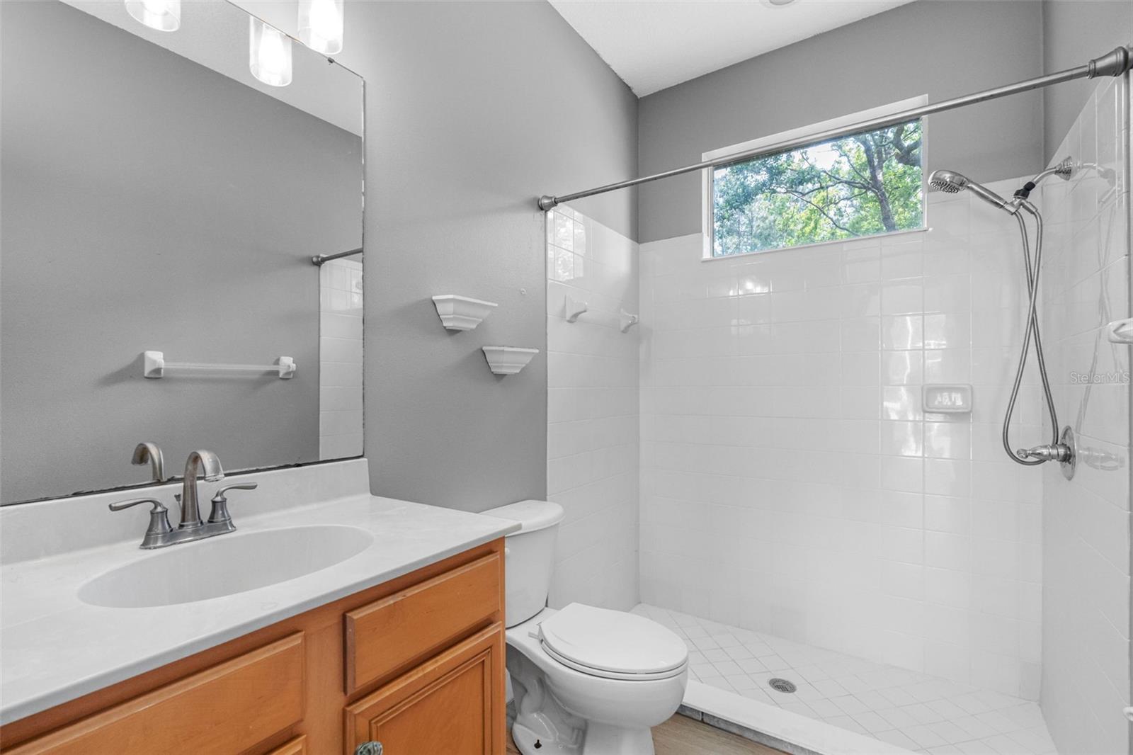 16750 IVY LAKE DR, ODESSA, FL, 33556