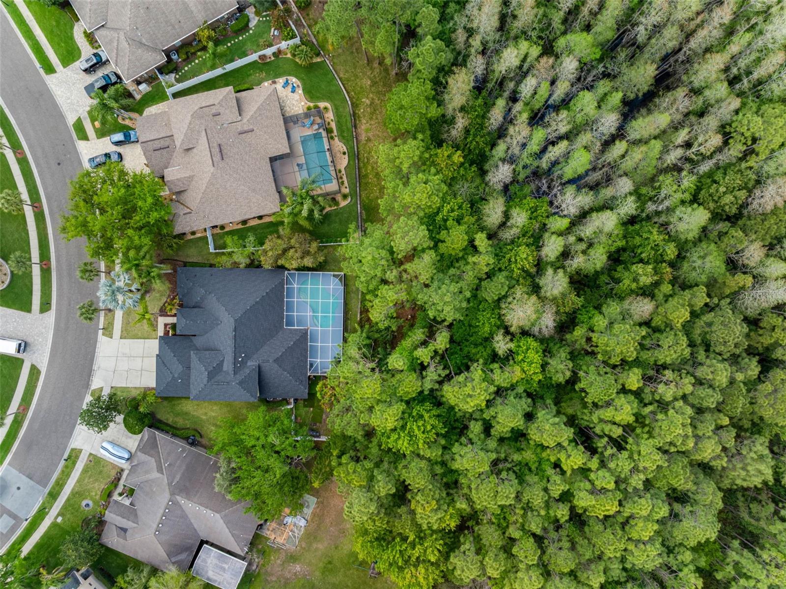 16750 IVY LAKE DR, ODESSA, FL, 33556