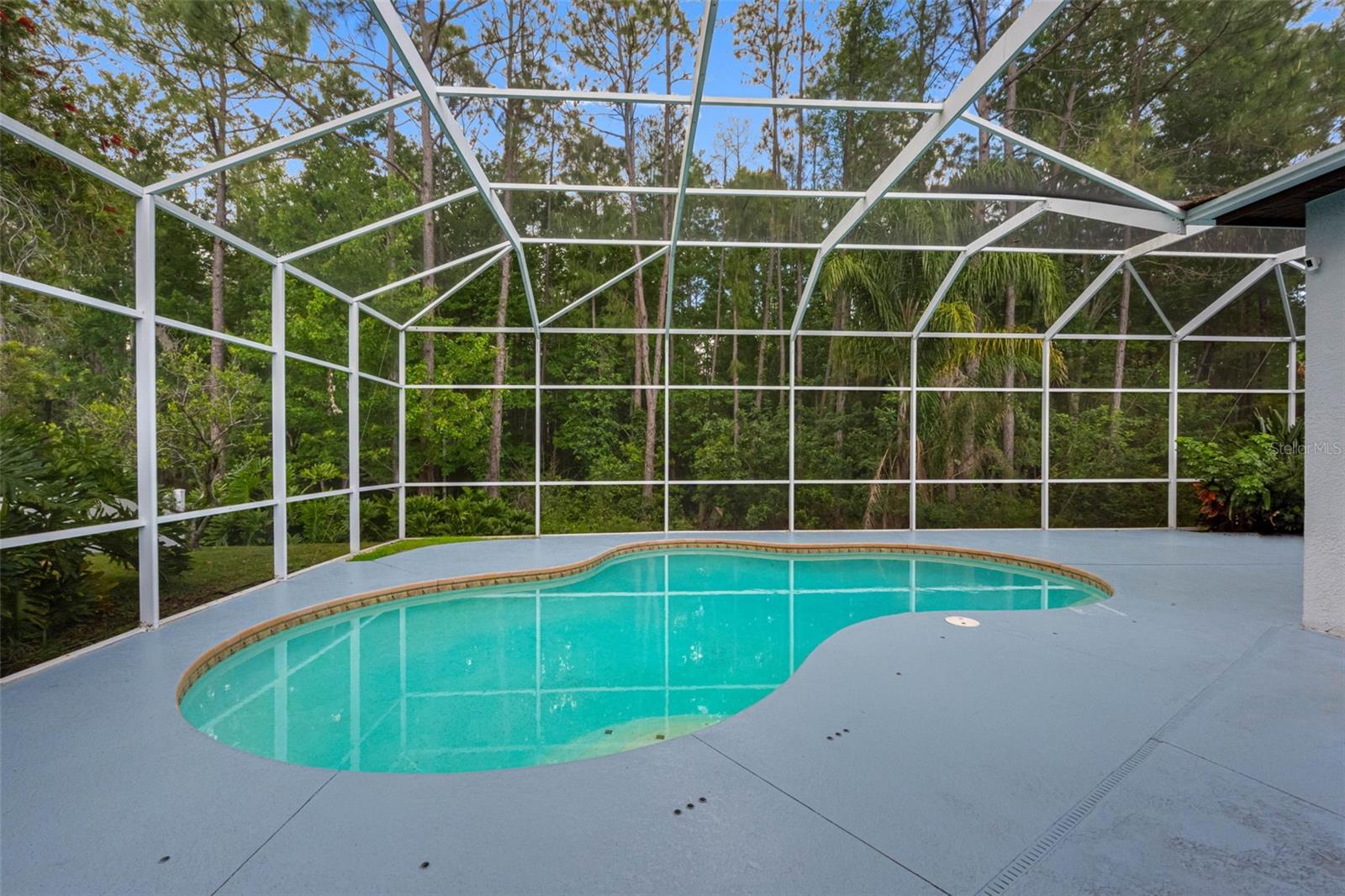 16750 IVY LAKE DR, ODESSA, FL, 33556