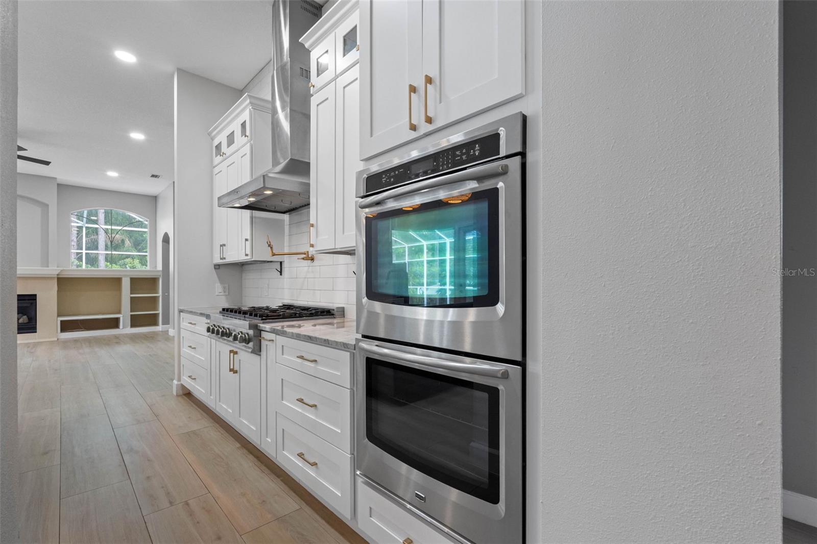 16750 IVY LAKE DR, ODESSA, FL, 33556