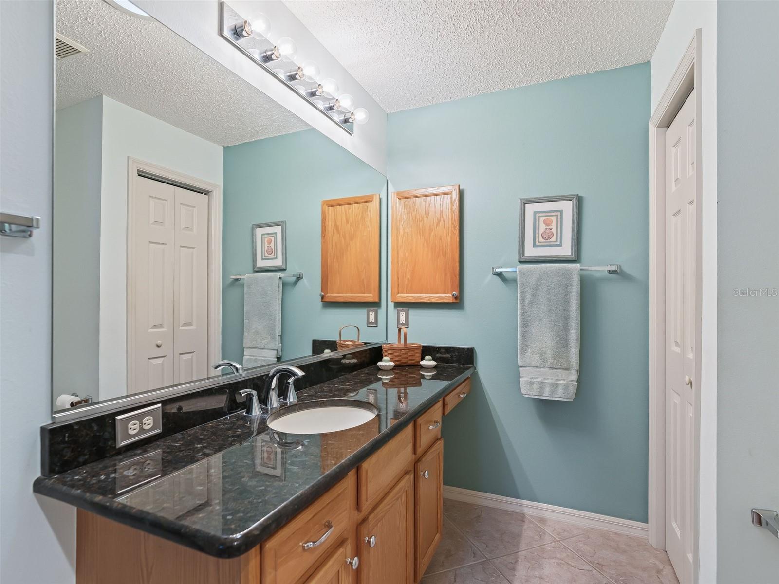 9515 SE 171ST ARGYLL ST, THE VILLAGES, FL, 32162