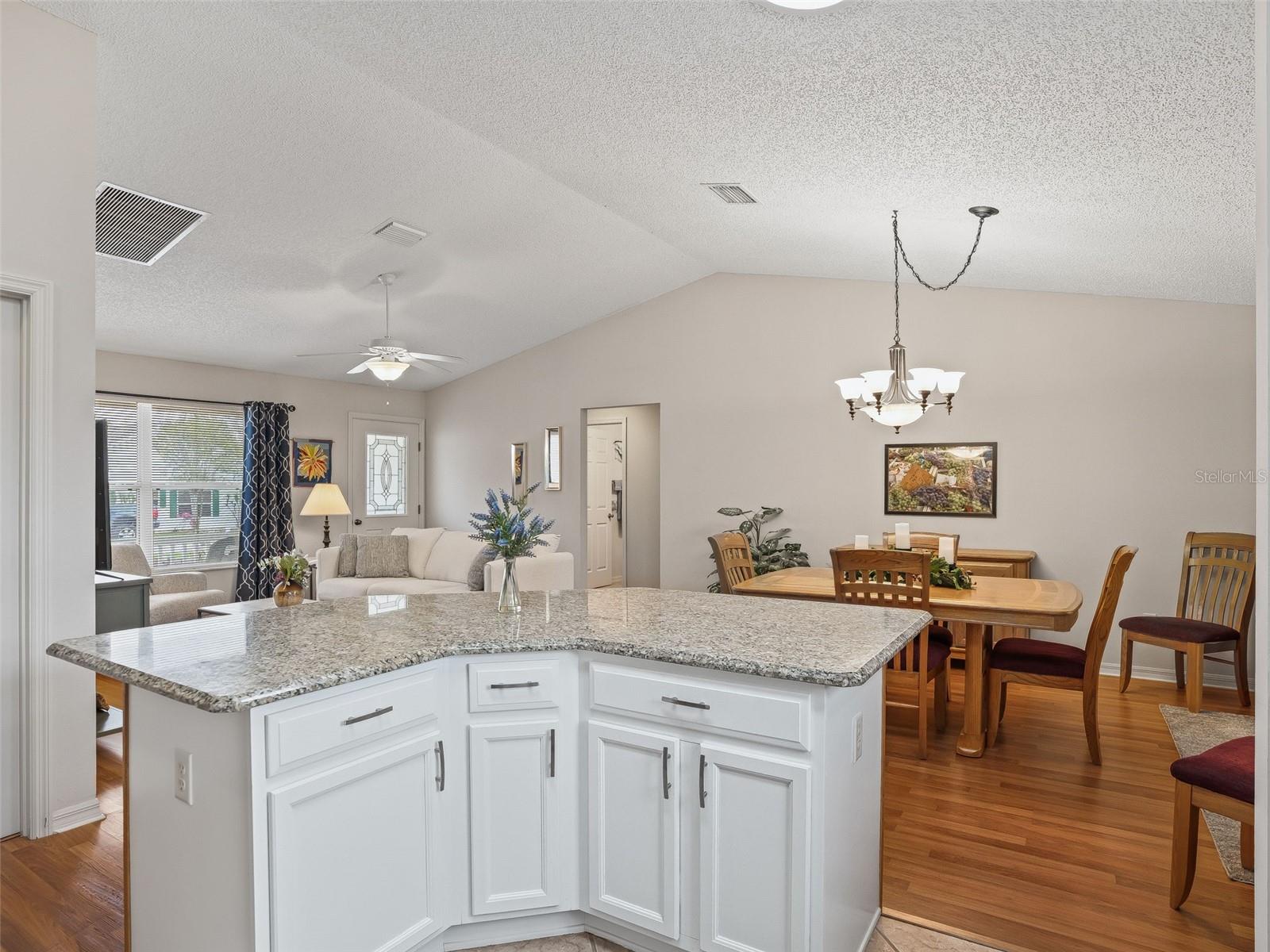 9515 SE 171ST ARGYLL ST, THE VILLAGES, FL, 32162