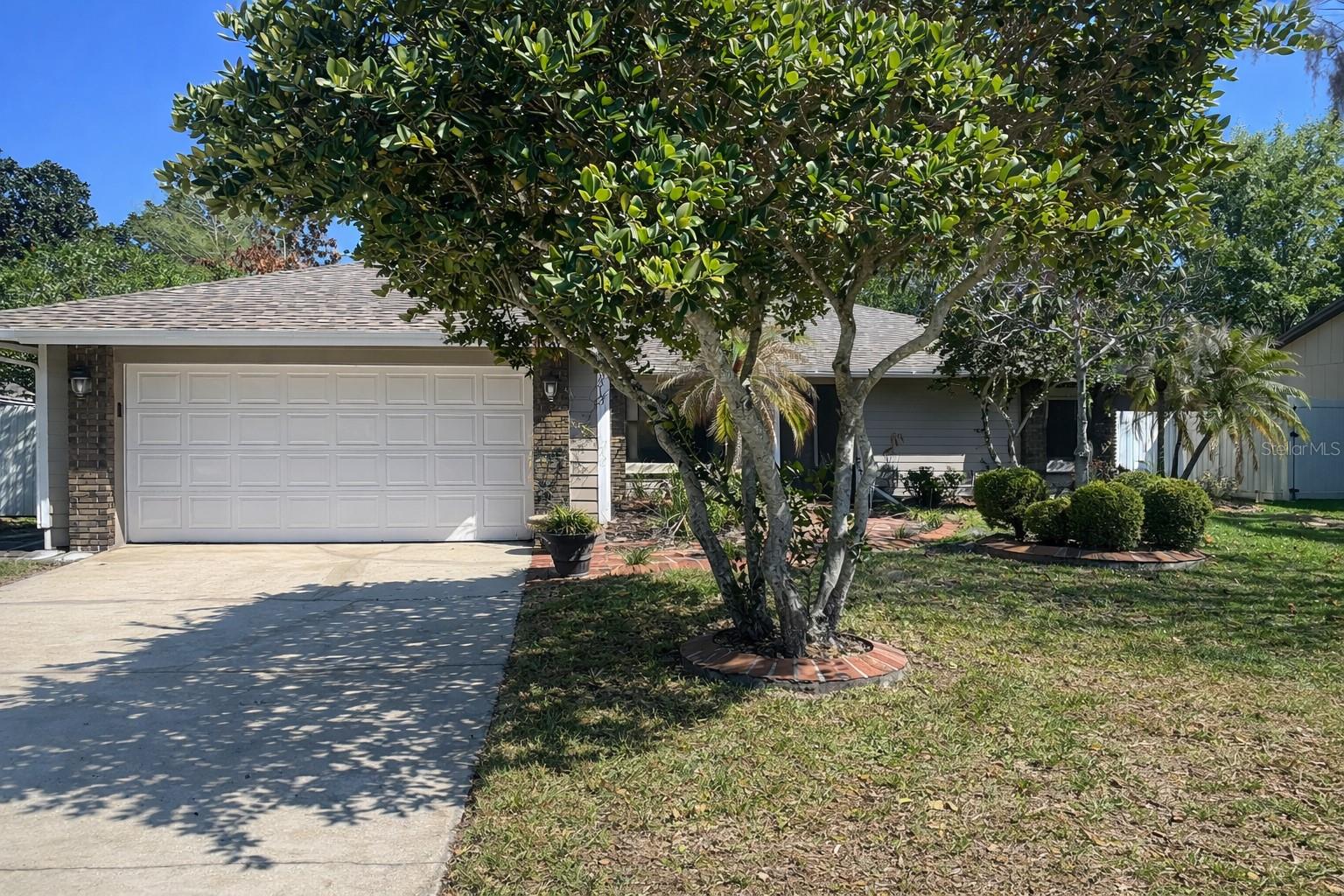 9313 PALM TREE DR, WINDERMERE, FL, 34786