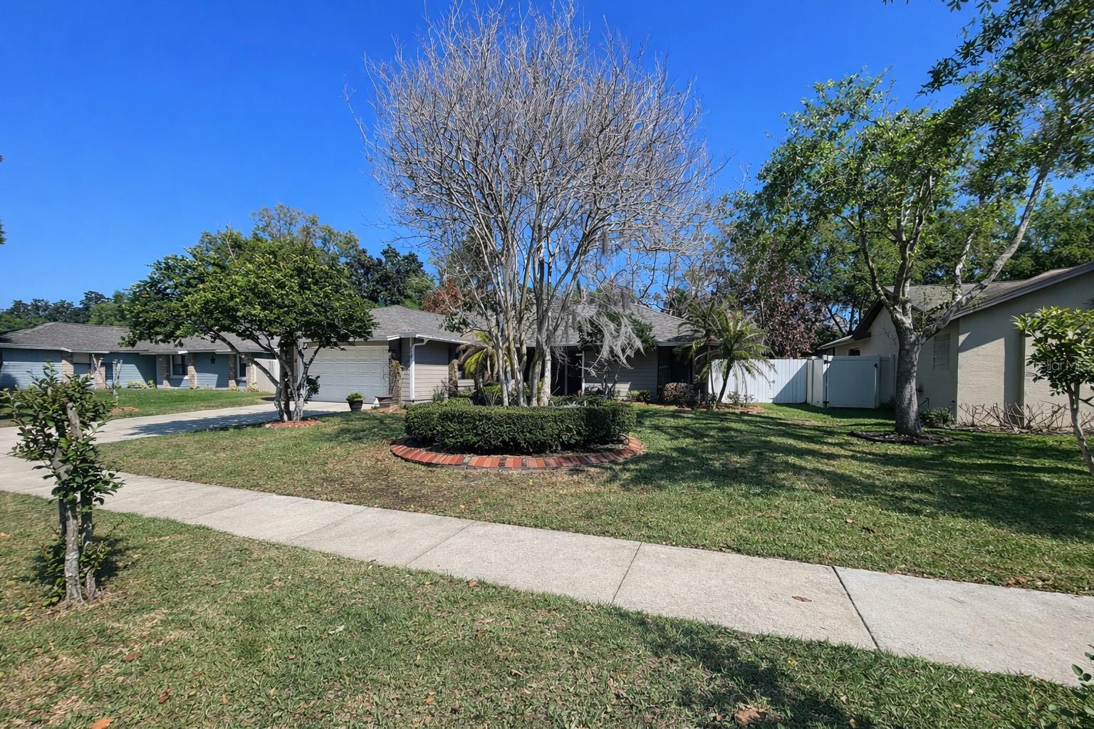 9313 PALM TREE DR, WINDERMERE, FL, 34786