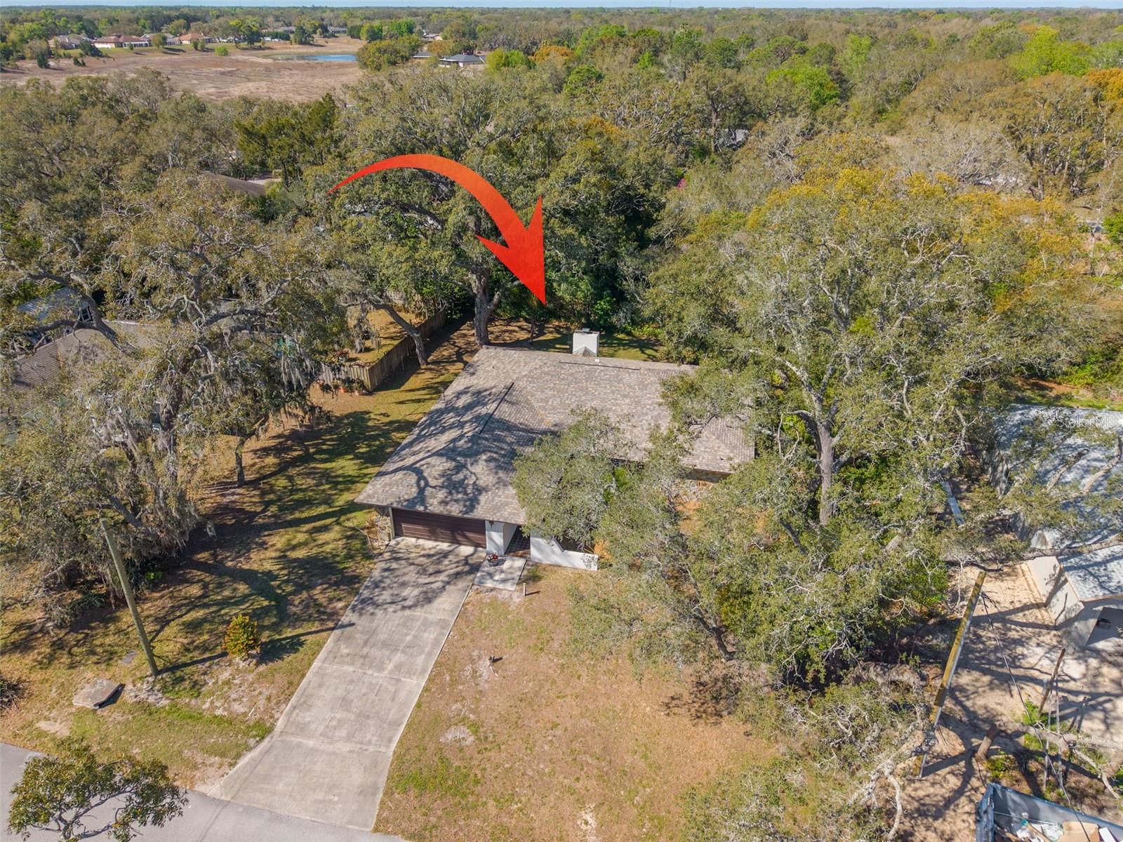 1101 DAGMAR AVE, SPRING HILL, FL, 34606