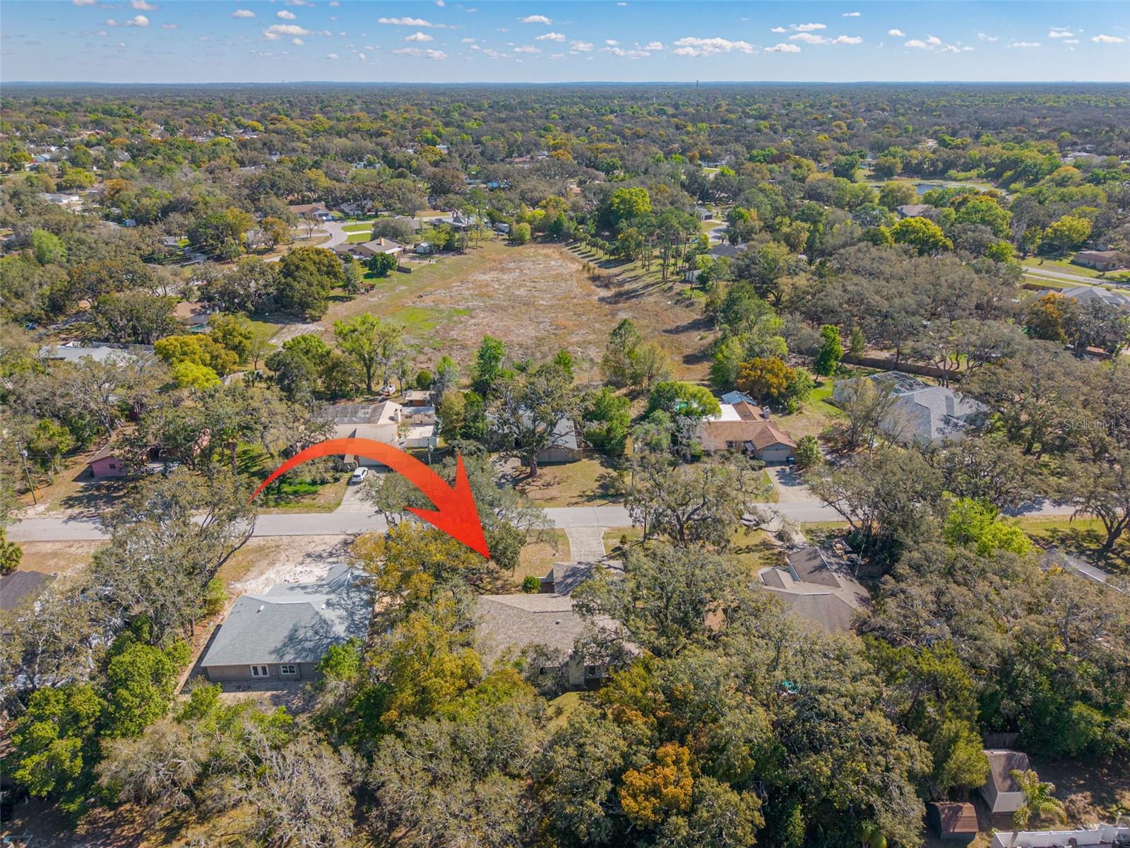 1101 DAGMAR AVE, SPRING HILL, FL, 34606