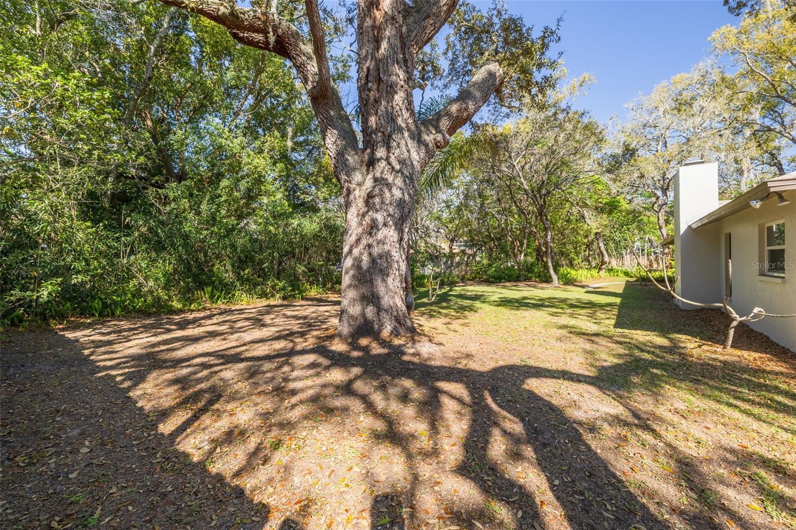 1101 DAGMAR AVE, SPRING HILL, FL, 34606