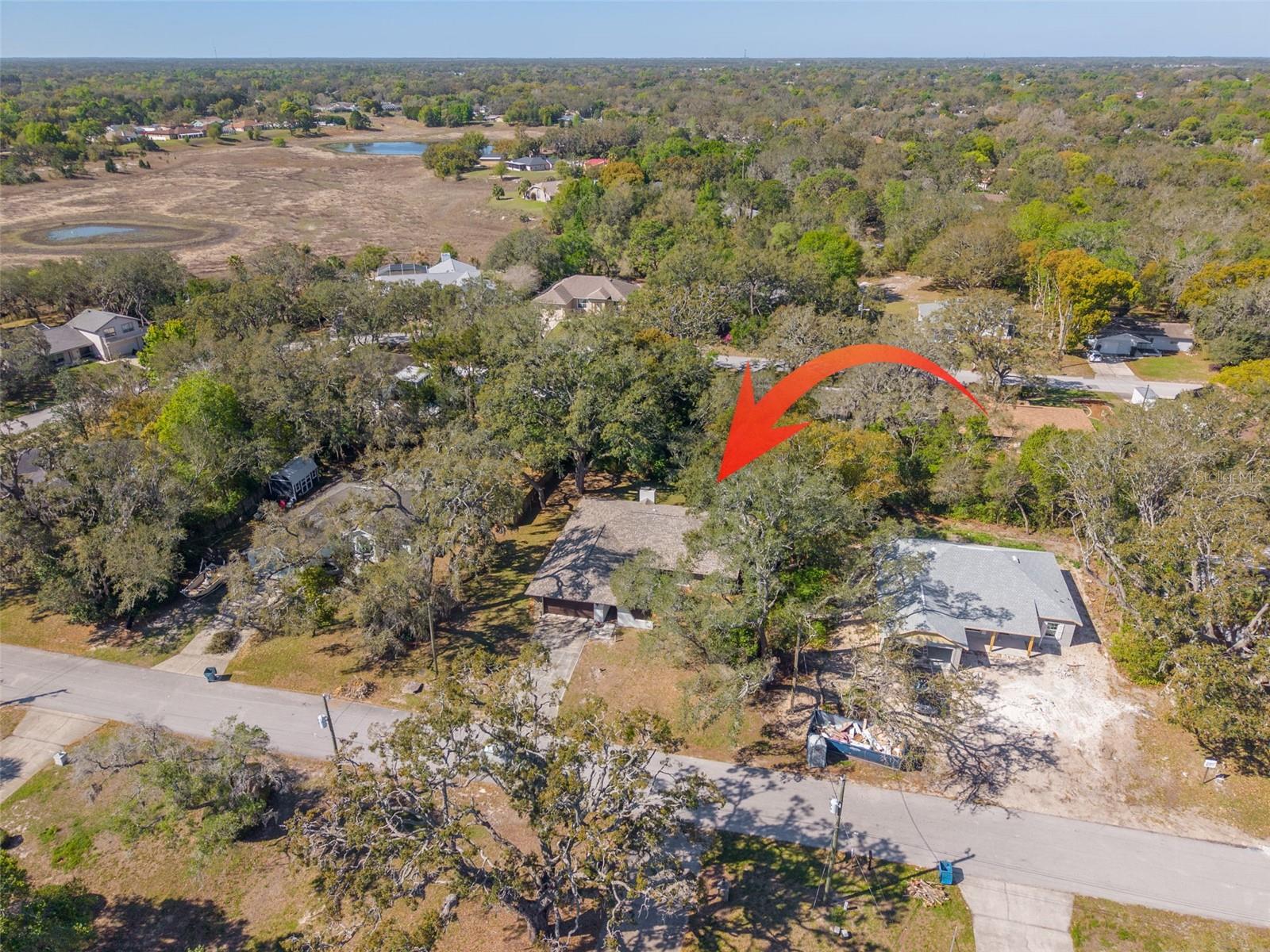 1101 DAGMAR AVE, SPRING HILL, FL, 34606