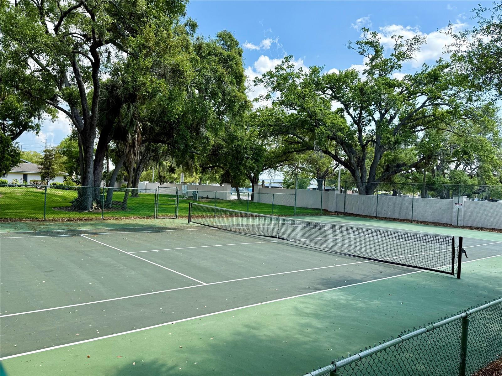 3407 WILKINSON WOODS DR #58, SARASOTA, FL, 34231