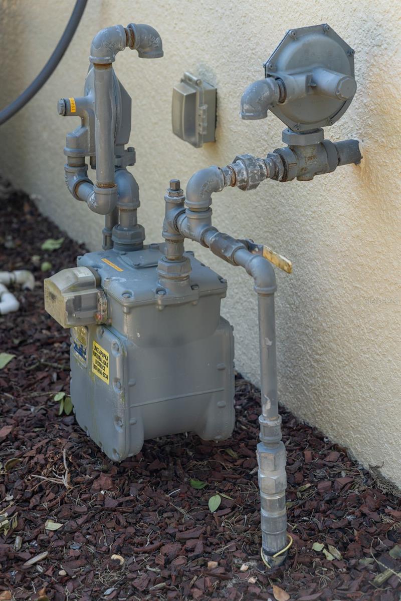 4500 BARRISTER DR, CLERMONT, FL, 34711