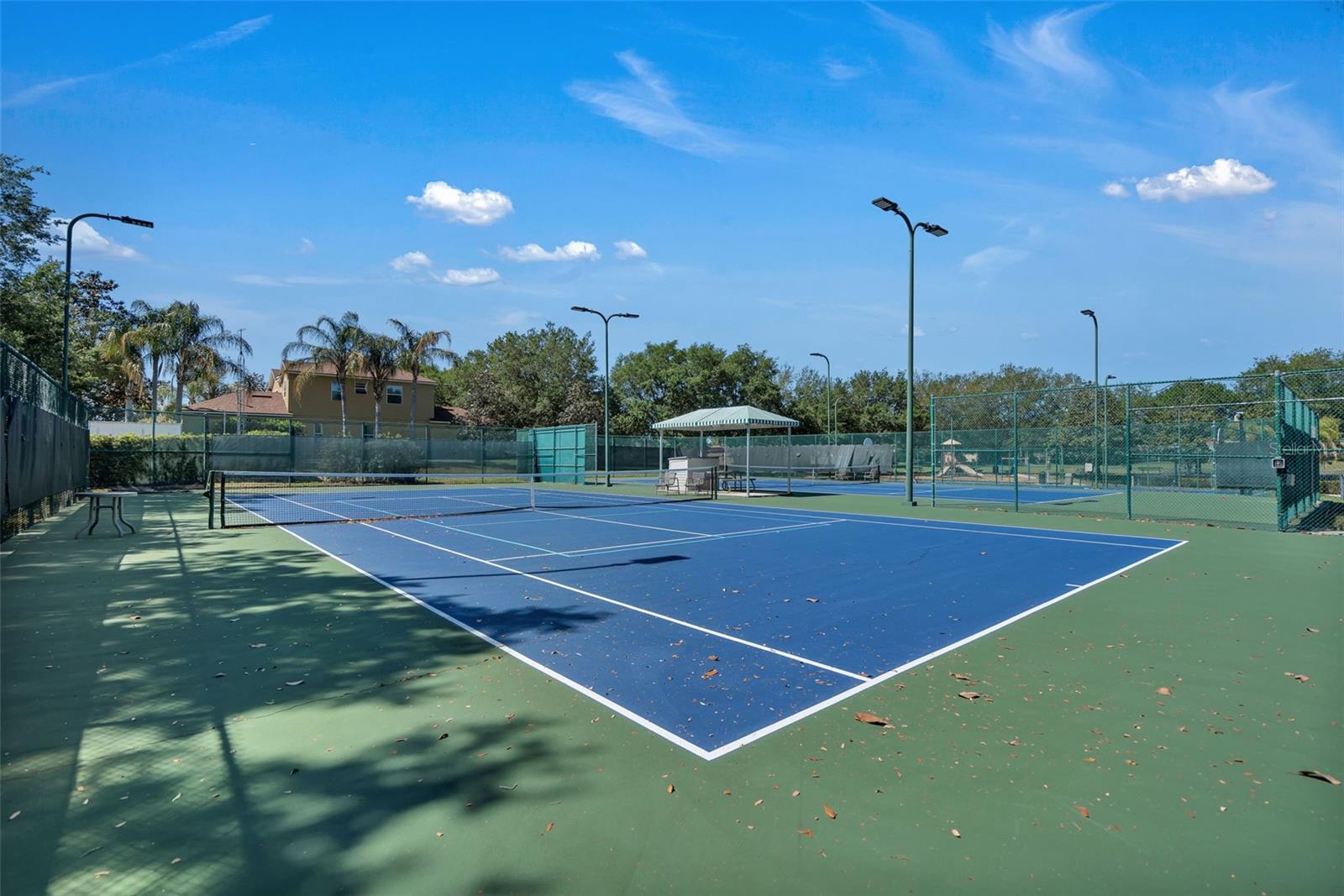 4500 BARRISTER DR, CLERMONT, FL, 34711