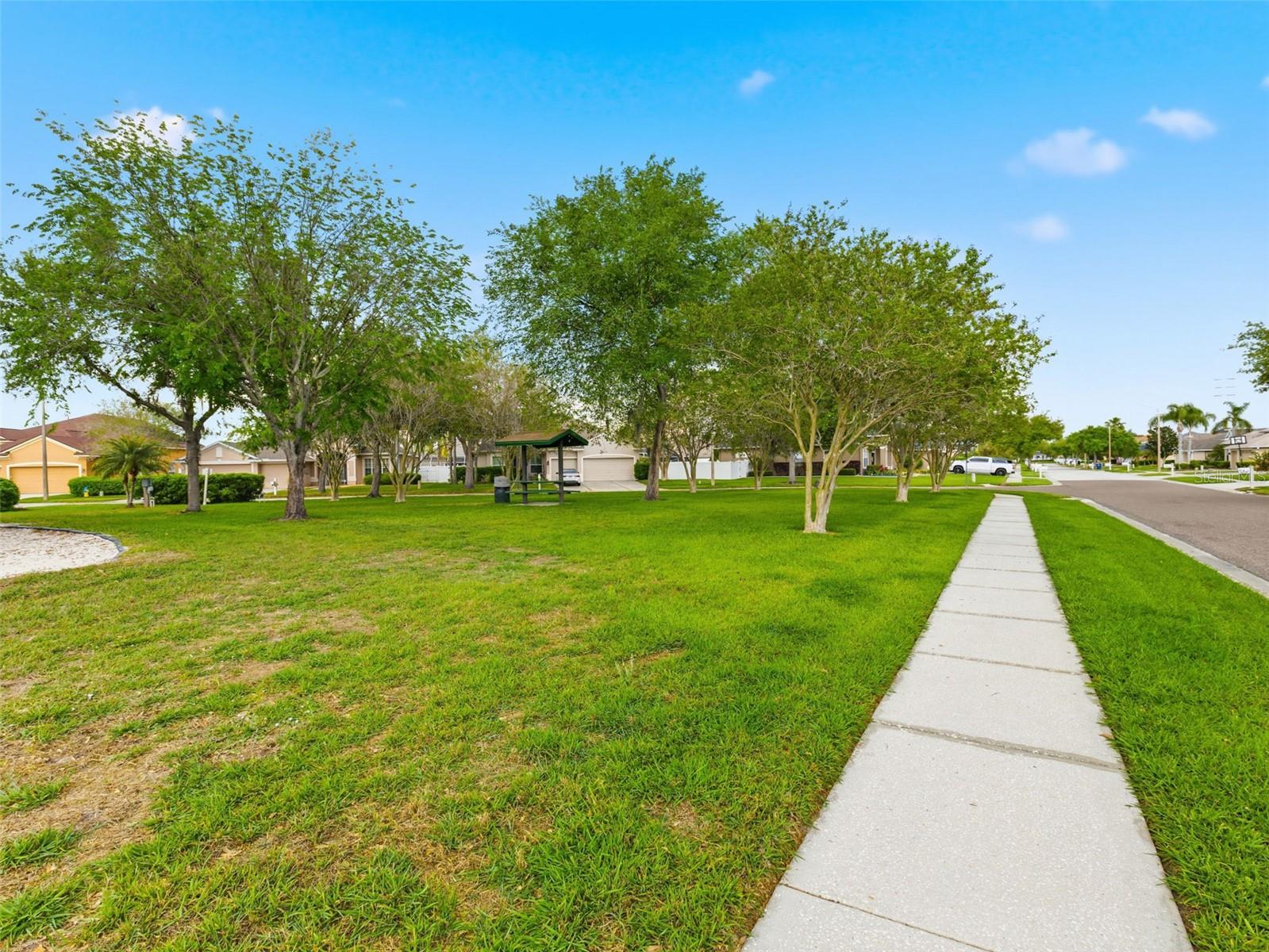 22548 CLIFFSIDE WAY, LAND O LAKES, FL, 34639