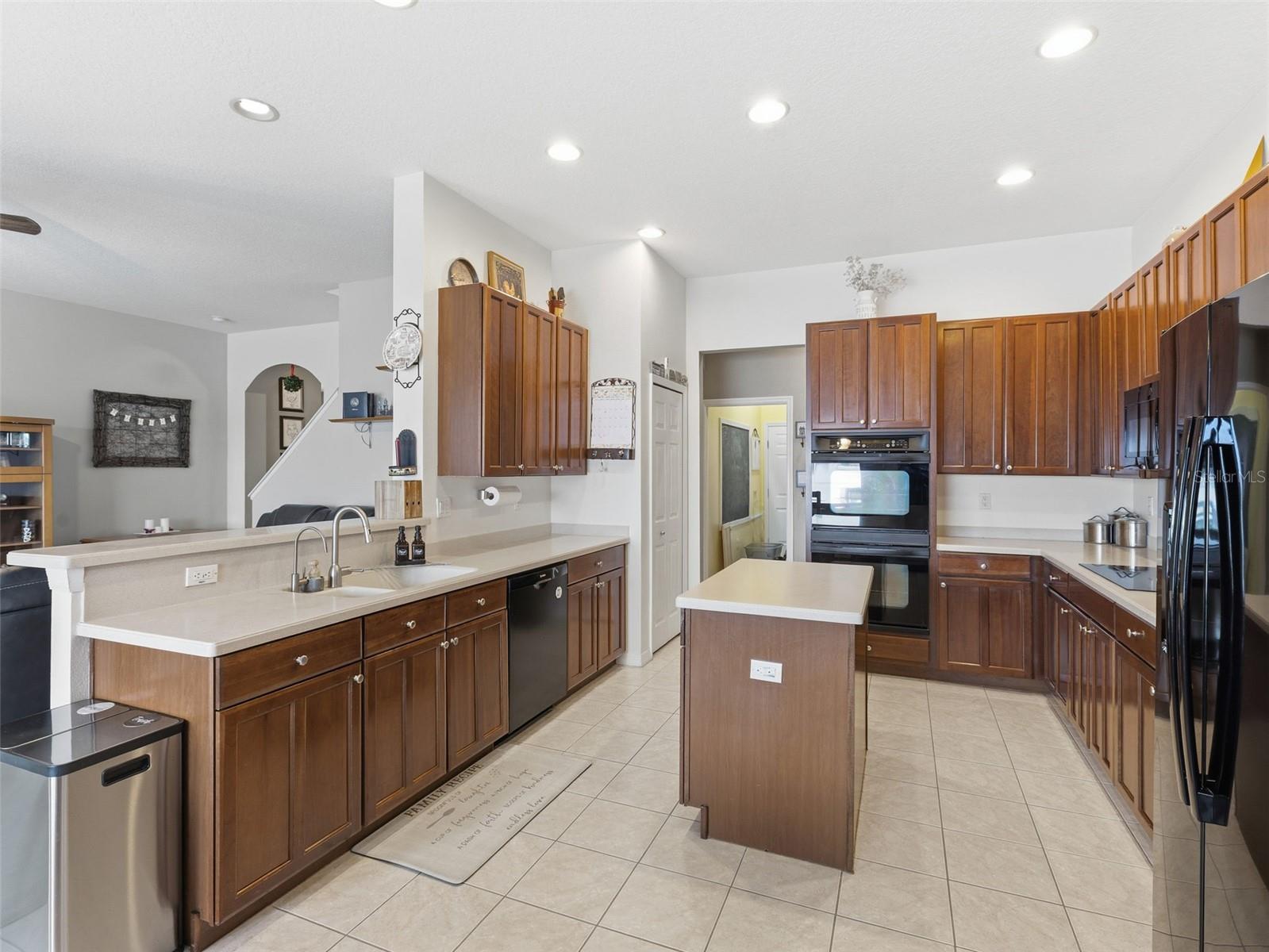22548 CLIFFSIDE WAY, LAND O LAKES, FL, 34639