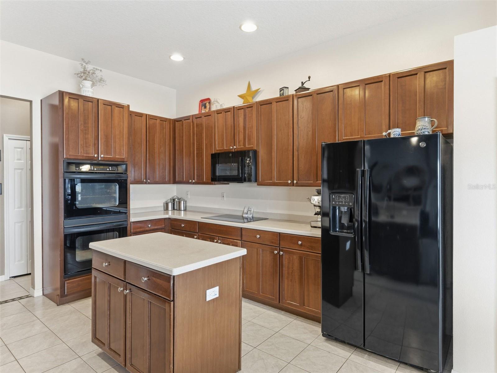 22548 CLIFFSIDE WAY, LAND O LAKES, FL, 34639