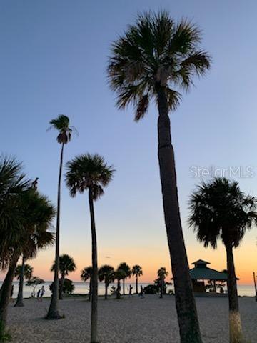 39820 US HIGHWAY 19 N #182, TARPON SPRINGS, FL, 34689
