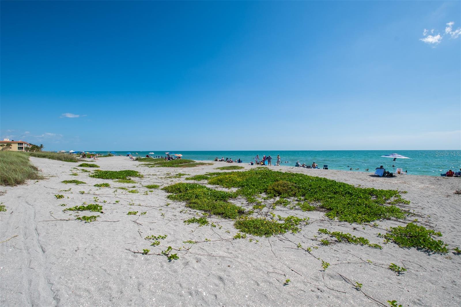 8302 MIDNIGHT PASS RD, SARASOTA, FL, 34242
