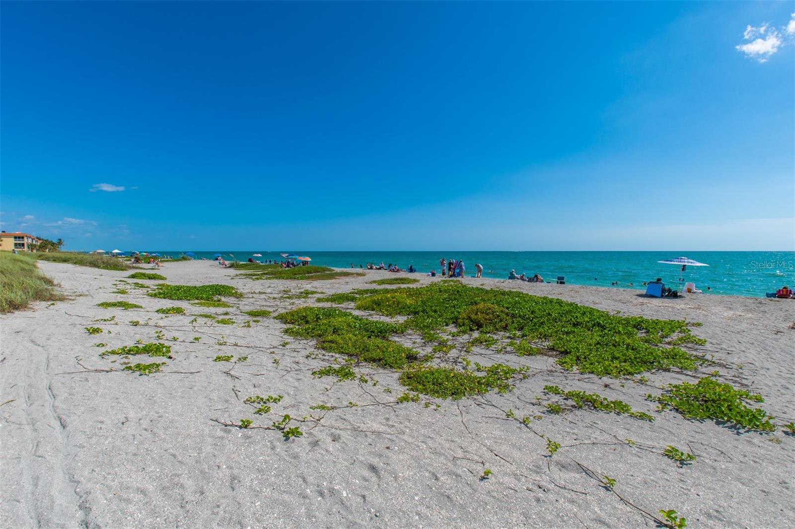8302 MIDNIGHT PASS RD, SARASOTA, FL, 34242