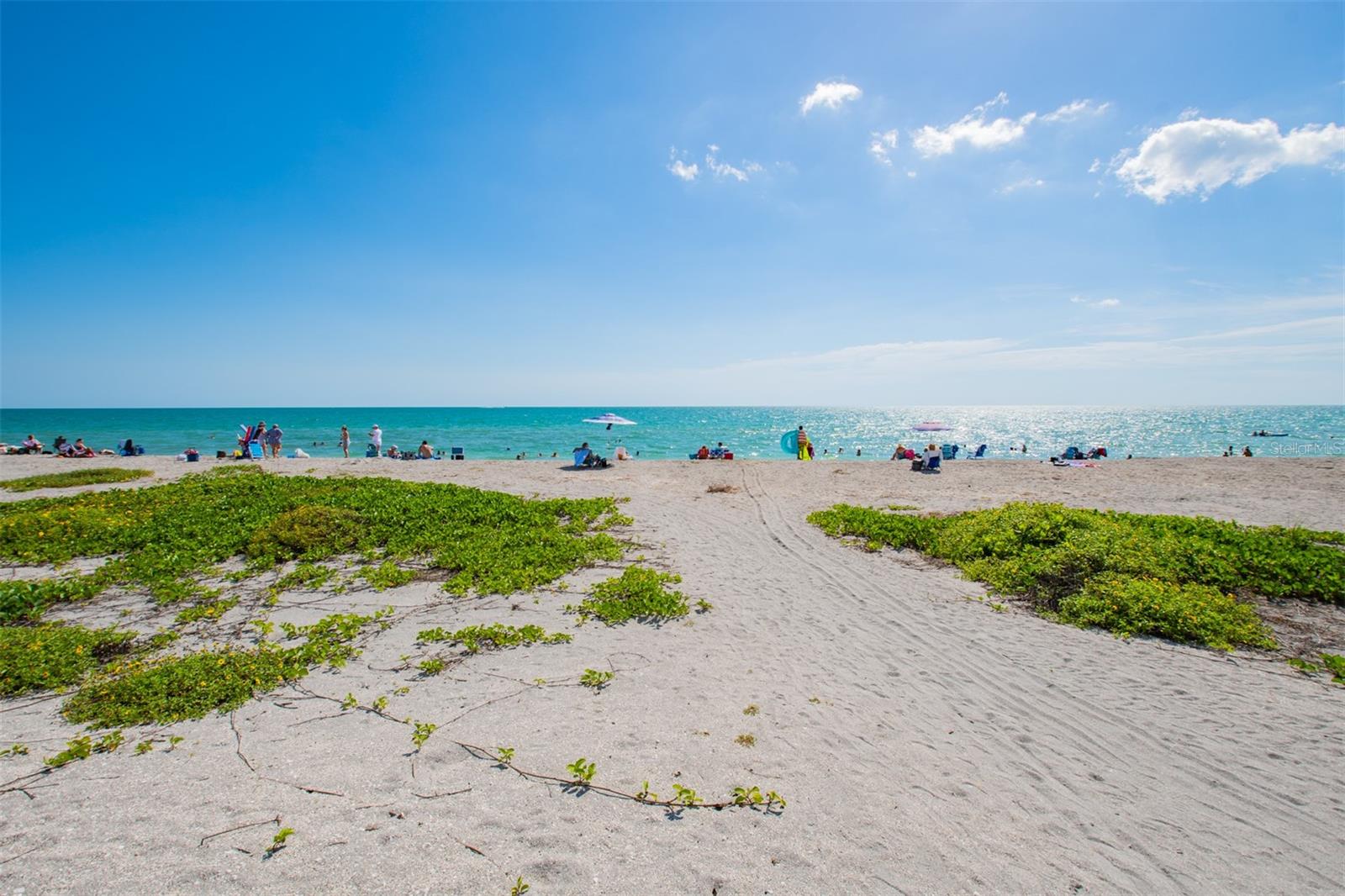 8302 MIDNIGHT PASS RD, SARASOTA, FL, 34242