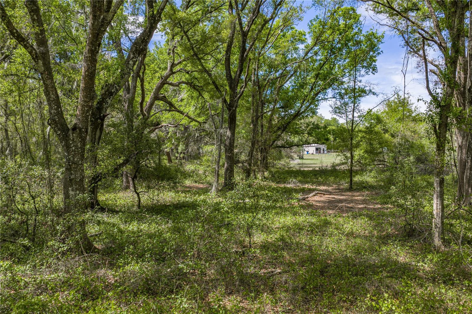 0 CLAYTON RD, KATHLEEN, FL, 33849