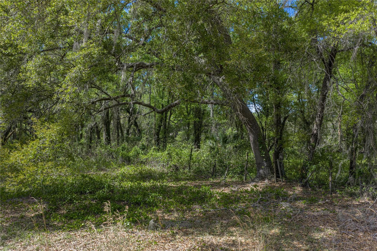 0 CLAYTON RD, KATHLEEN, FL, 33849