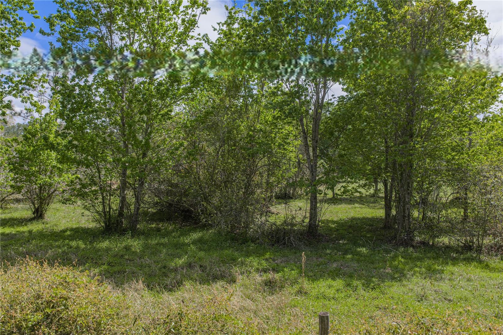 0 CLAYTON RD, KATHLEEN, FL, 33849