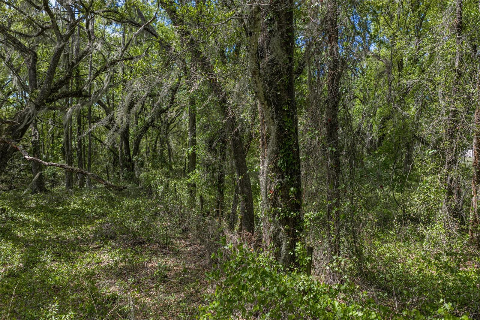 0 CLAYTON RD, KATHLEEN, FL, 33849