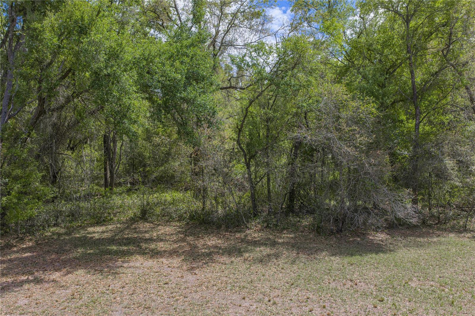 0 CLAYTON RD, KATHLEEN, FL, 33849