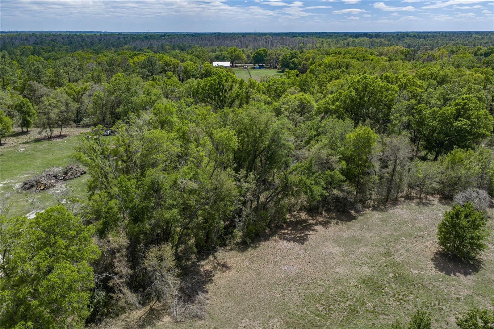 0 CLAYTON RD, KATHLEEN, FL, 33849