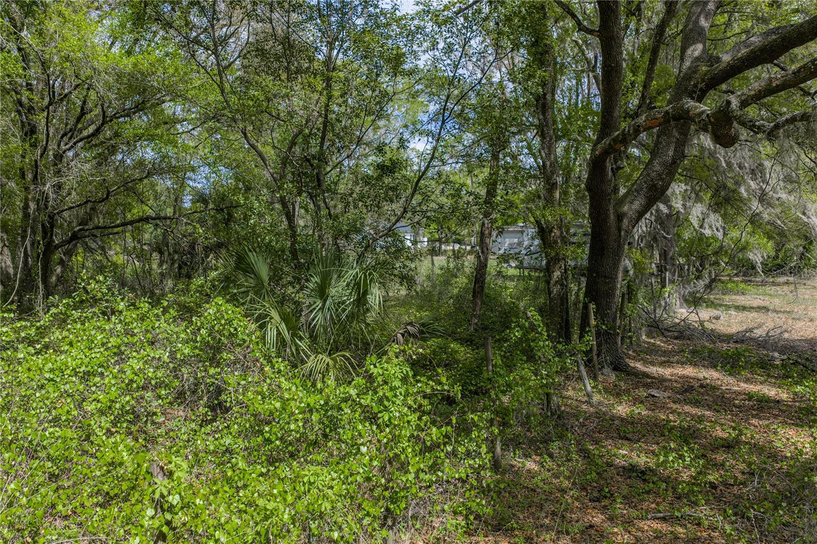 0 CLAYTON RD, KATHLEEN, FL, 33849