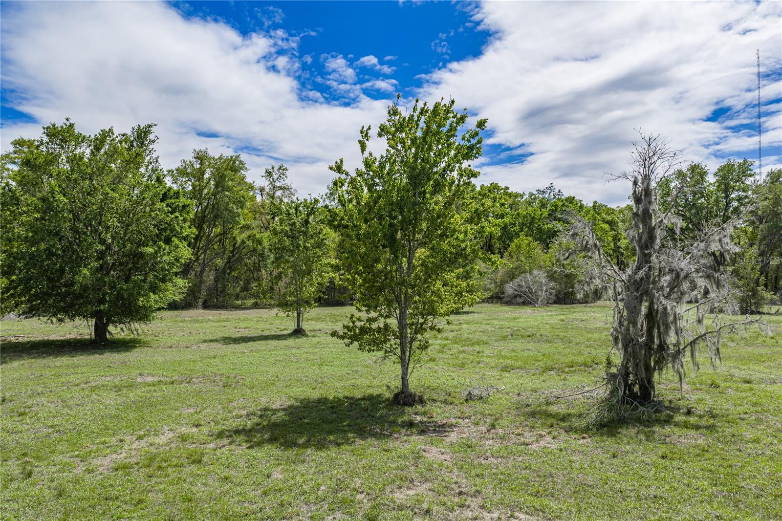 0 CLAYTON RD, KATHLEEN, FL, 33849