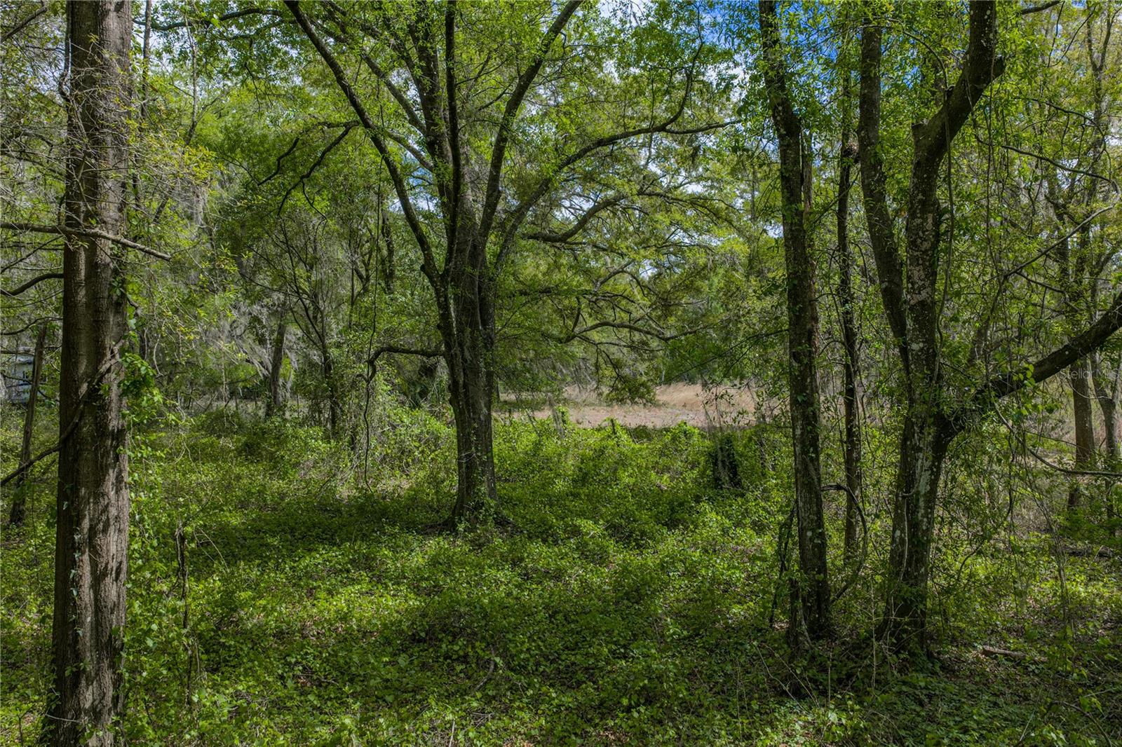0 CLAYTON RD, KATHLEEN, FL, 33849