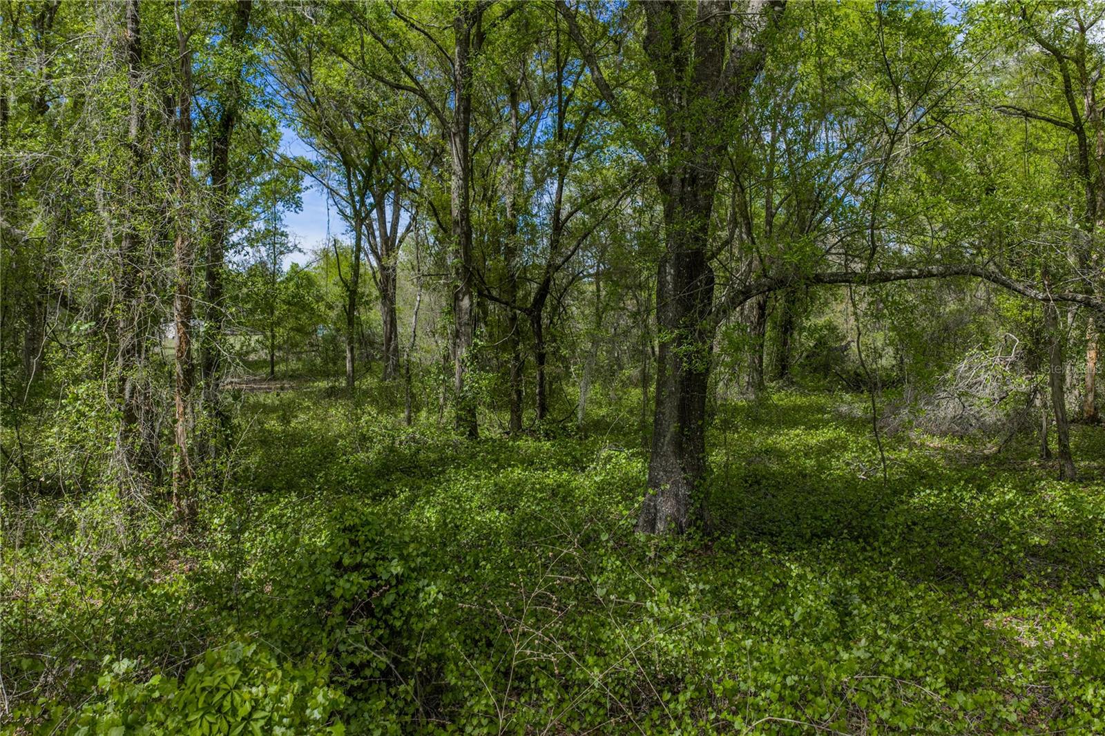 0 CLAYTON RD, KATHLEEN, FL, 33849