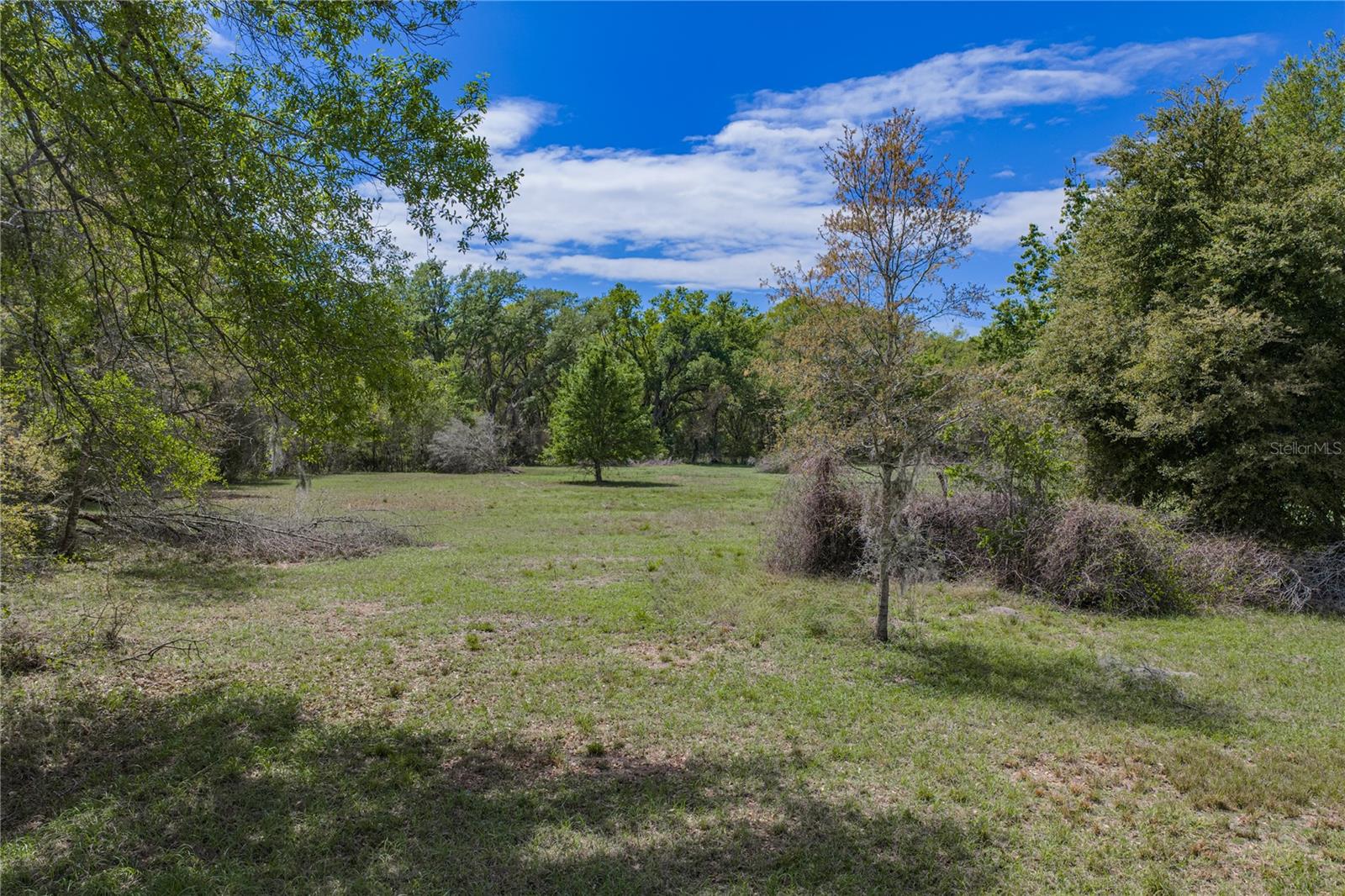 0 CLAYTON RD, KATHLEEN, FL, 33849