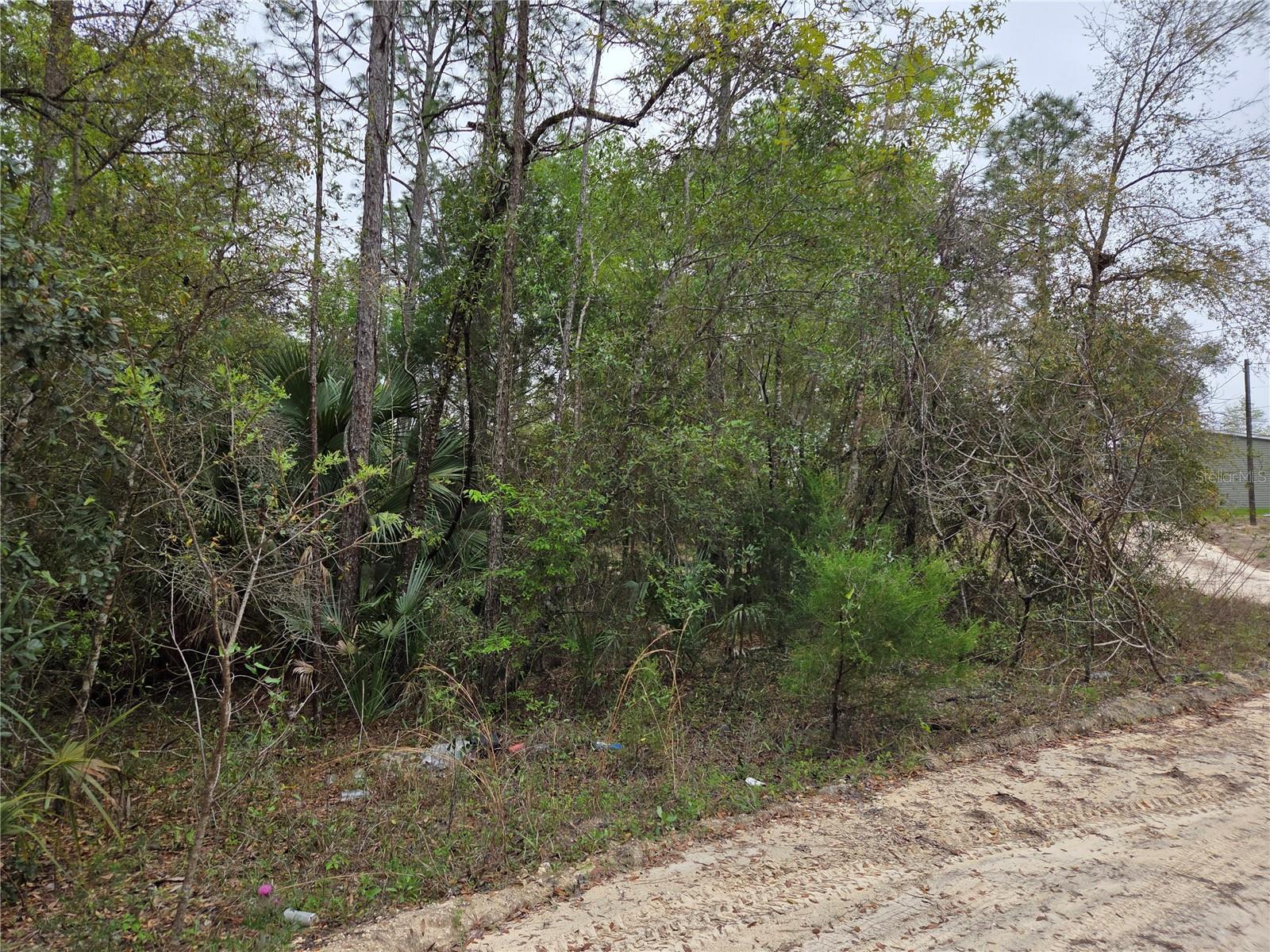0000 NE 138TH TER, WILLISTON, FL, 32696