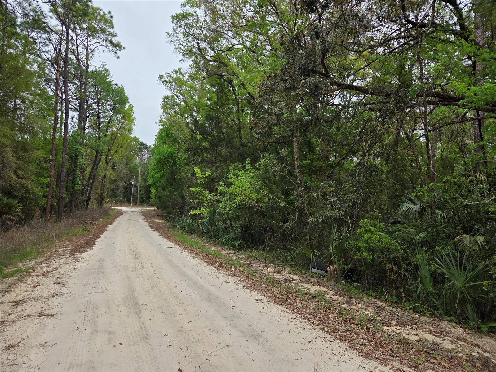 0000 NE 138TH TER, WILLISTON, FL, 32696