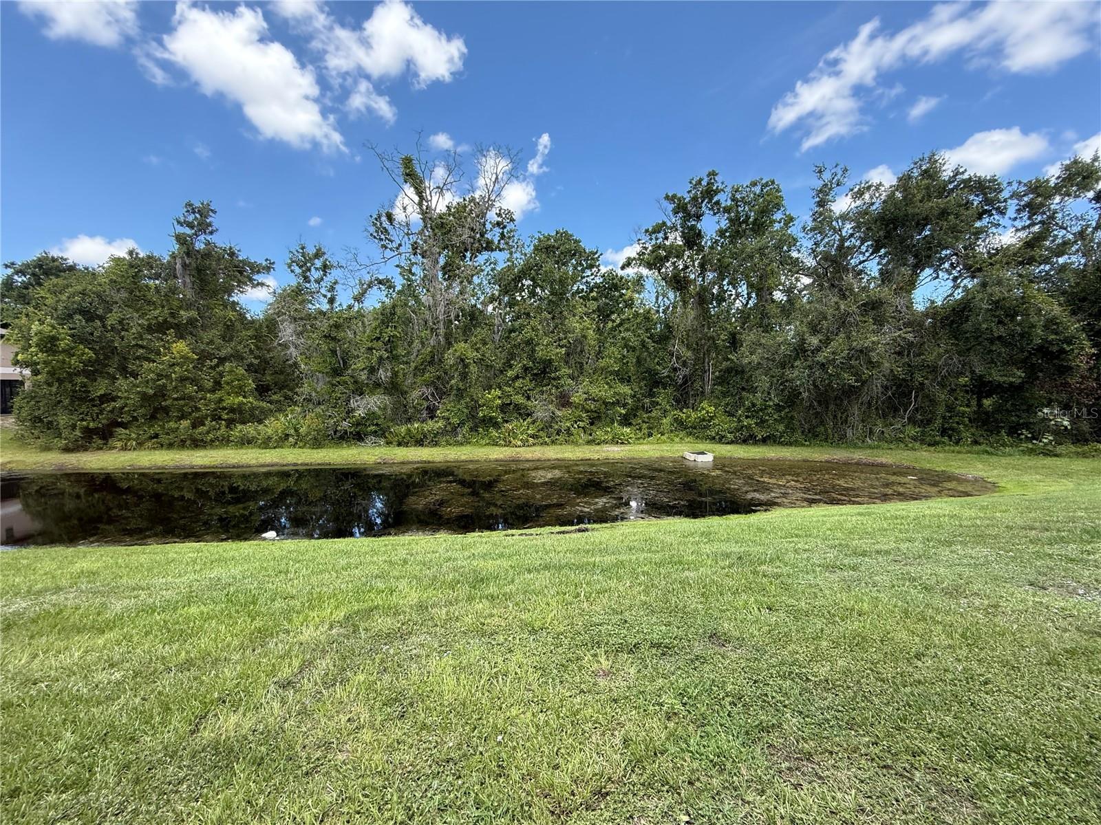 8523 REEDVILLE ST, NEW PORT RICHEY, FL, 34654