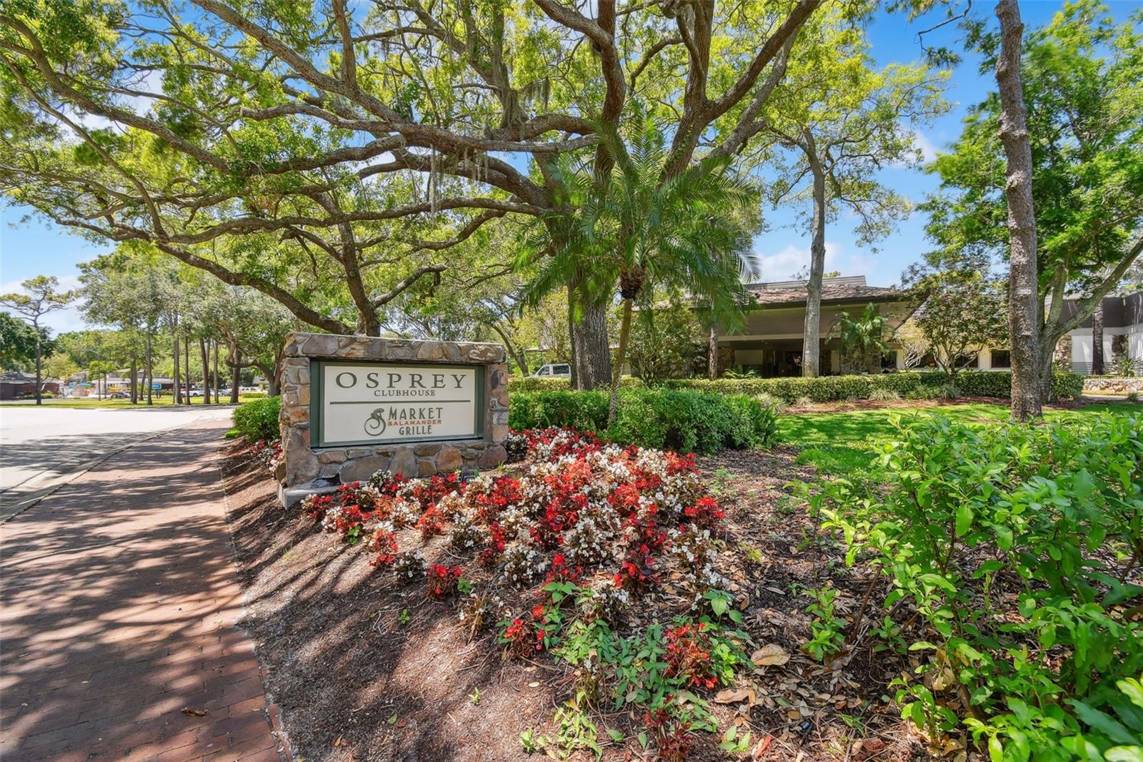 36750 US HIGHWAY 19 N #8-202, PALM HARBOR, FL, 34684