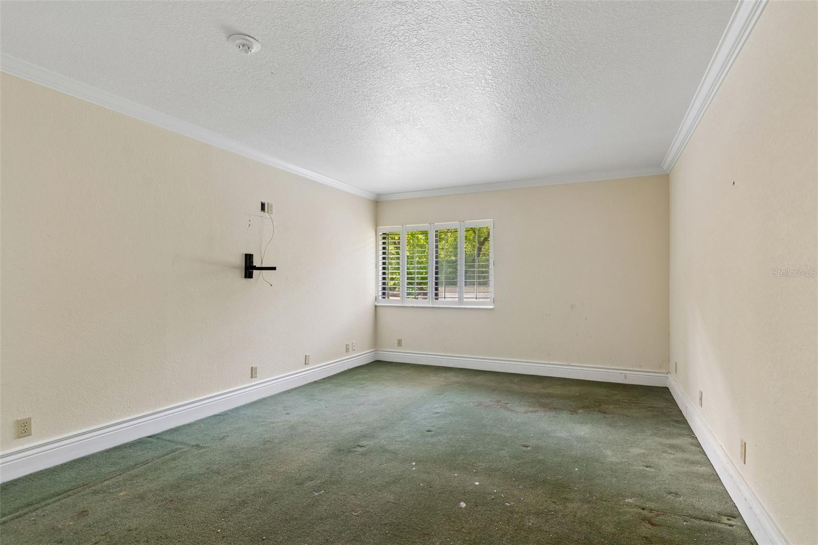 36750 US HIGHWAY 19 N #8-202, PALM HARBOR, FL, 34684