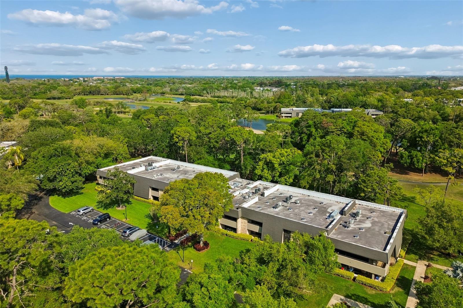 36750 US HIGHWAY 19 N #8-202, PALM HARBOR, FL, 34684