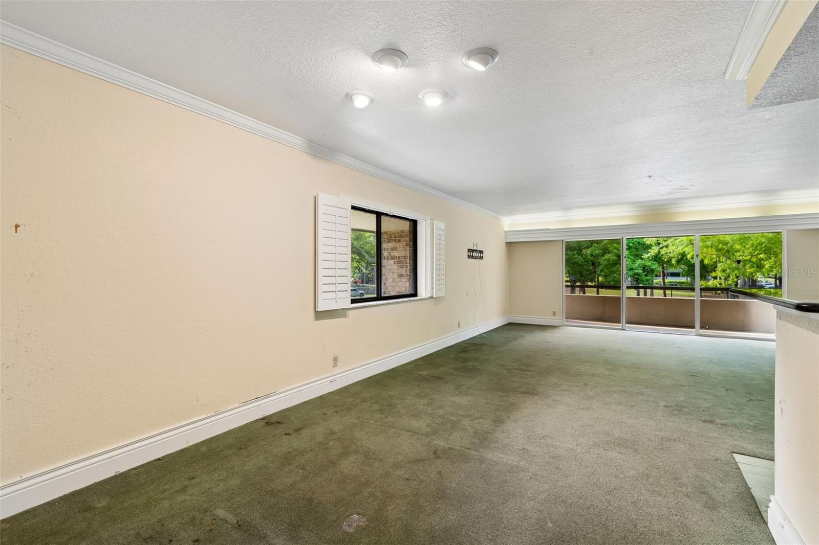 36750 US HIGHWAY 19 N #8-202, PALM HARBOR, FL, 34684