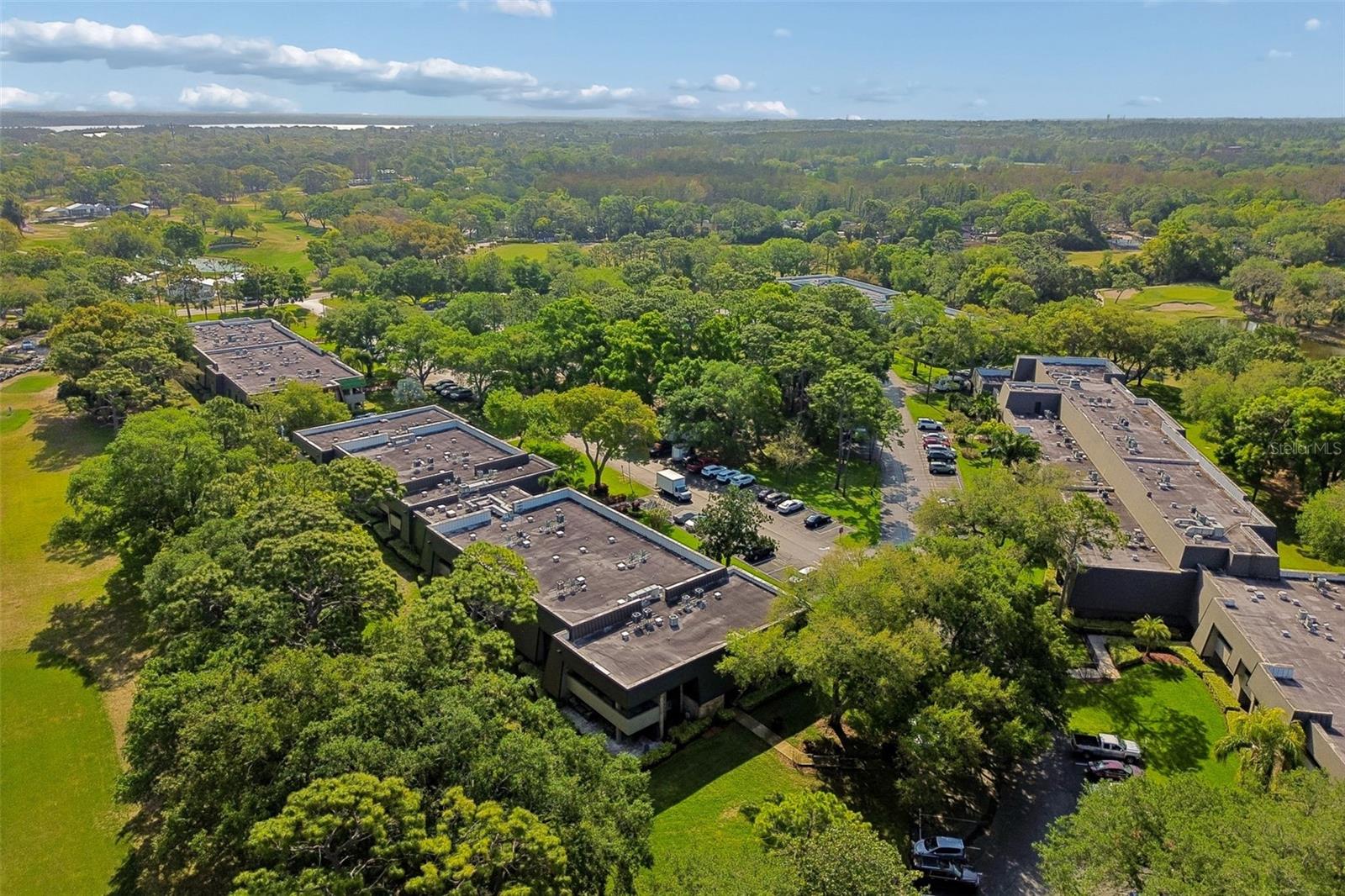 36750 US HIGHWAY 19 N #8-202, PALM HARBOR, FL, 34684