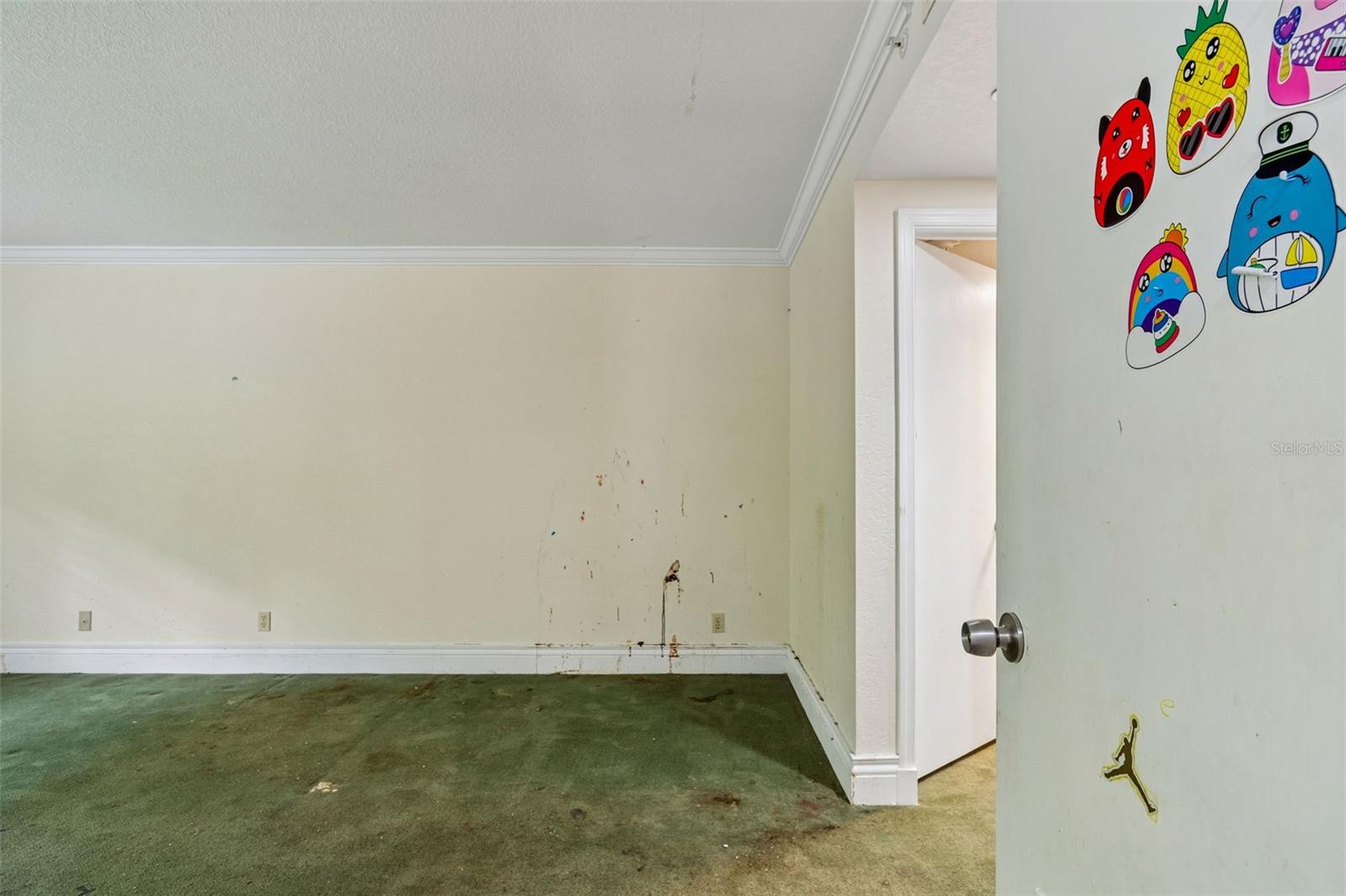 36750 US HIGHWAY 19 N #8-202, PALM HARBOR, FL, 34684