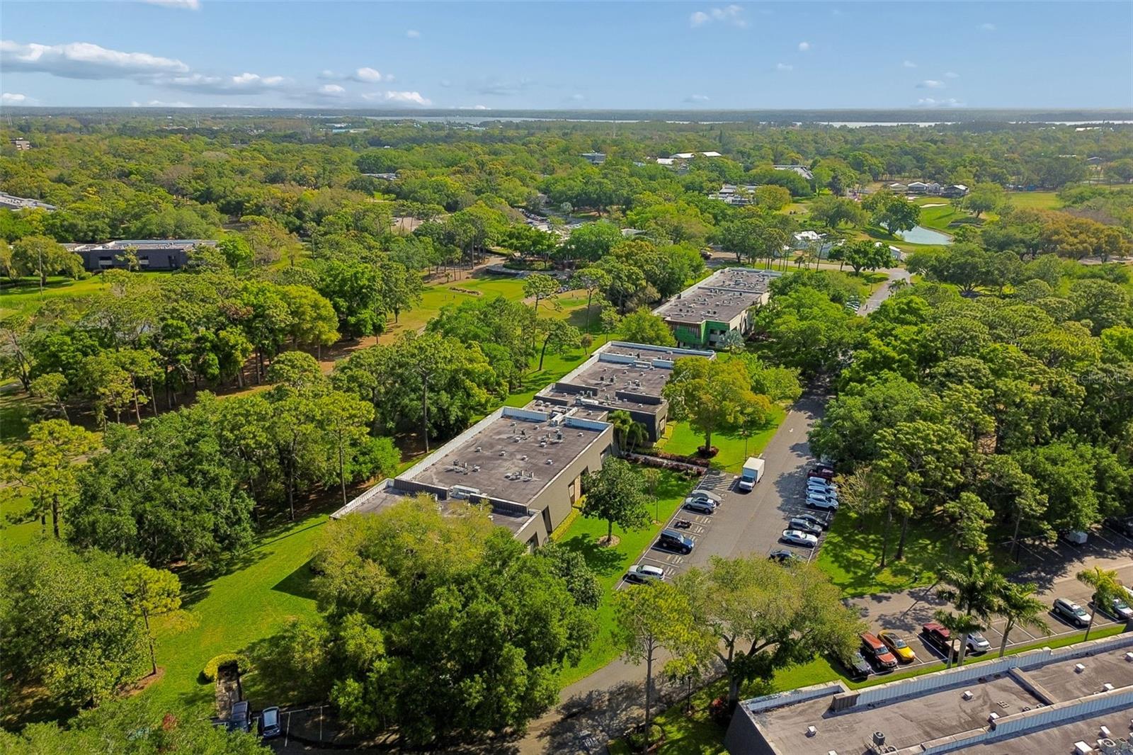 36750 US HIGHWAY 19 N #8-202, PALM HARBOR, FL, 34684