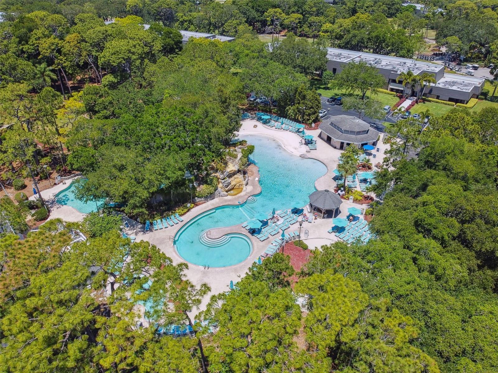 36750 US HIGHWAY 19 N #8-202, PALM HARBOR, FL, 34684