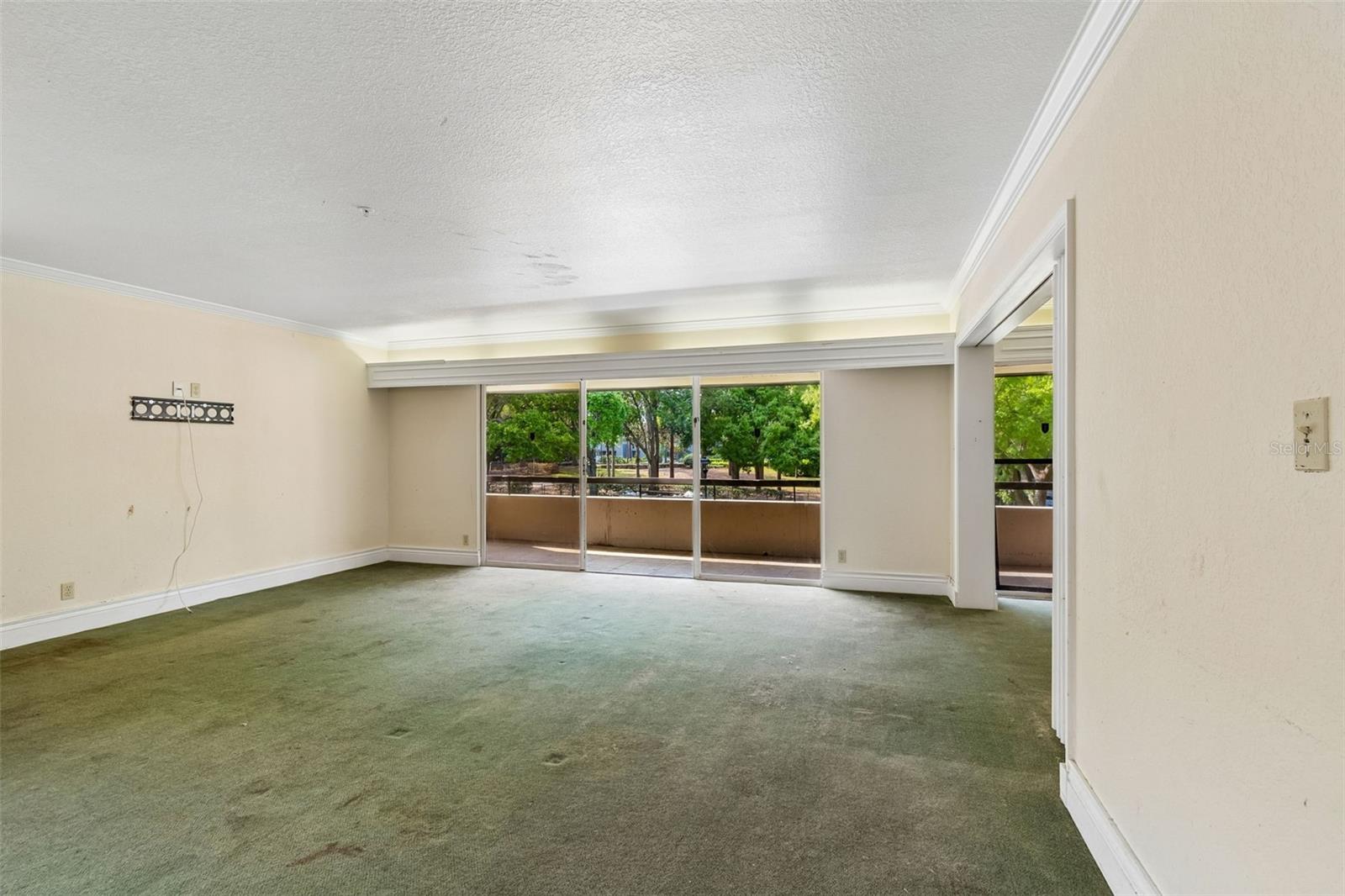 36750 US HIGHWAY 19 N #8-202, PALM HARBOR, FL, 34684