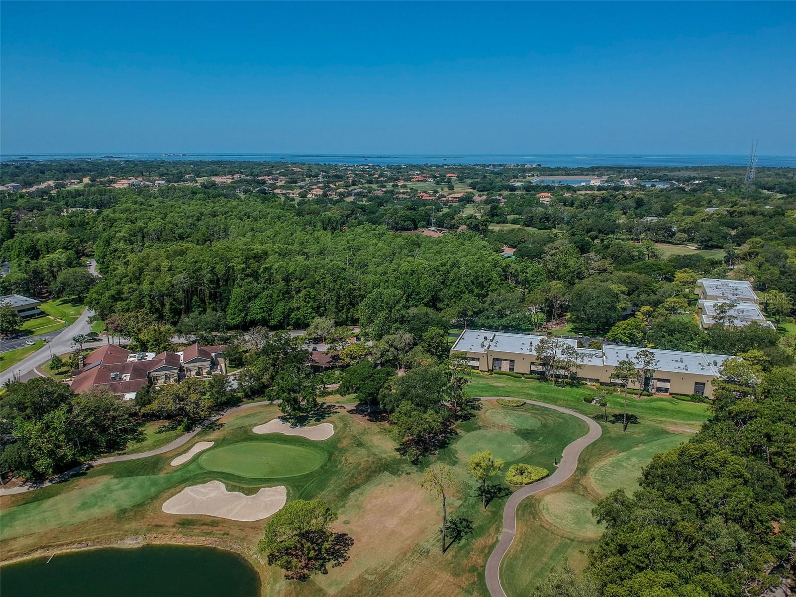 36750 US HIGHWAY 19 N #8-202, PALM HARBOR, FL, 34684