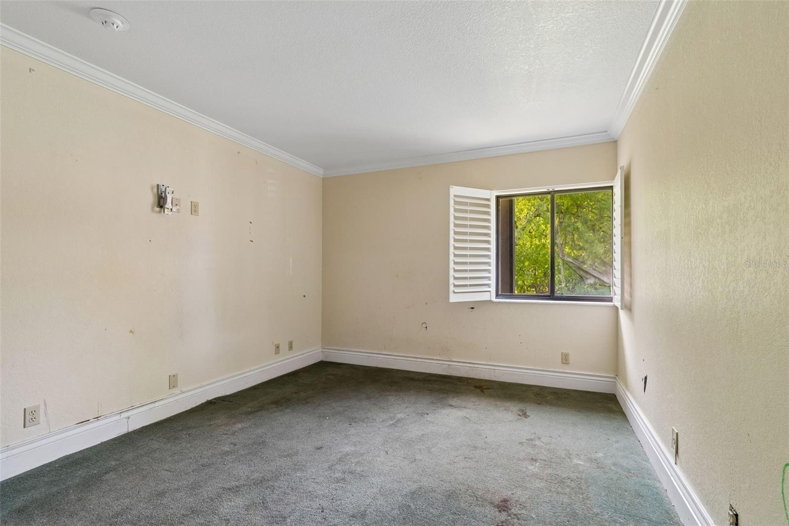 36750 US HIGHWAY 19 N #8-202, PALM HARBOR, FL, 34684