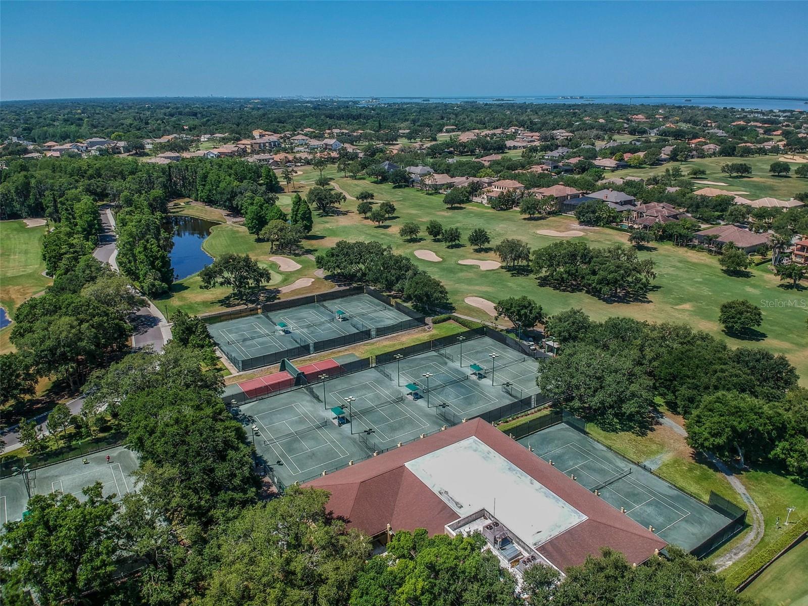36750 US HIGHWAY 19 N #8-202, PALM HARBOR, FL, 34684