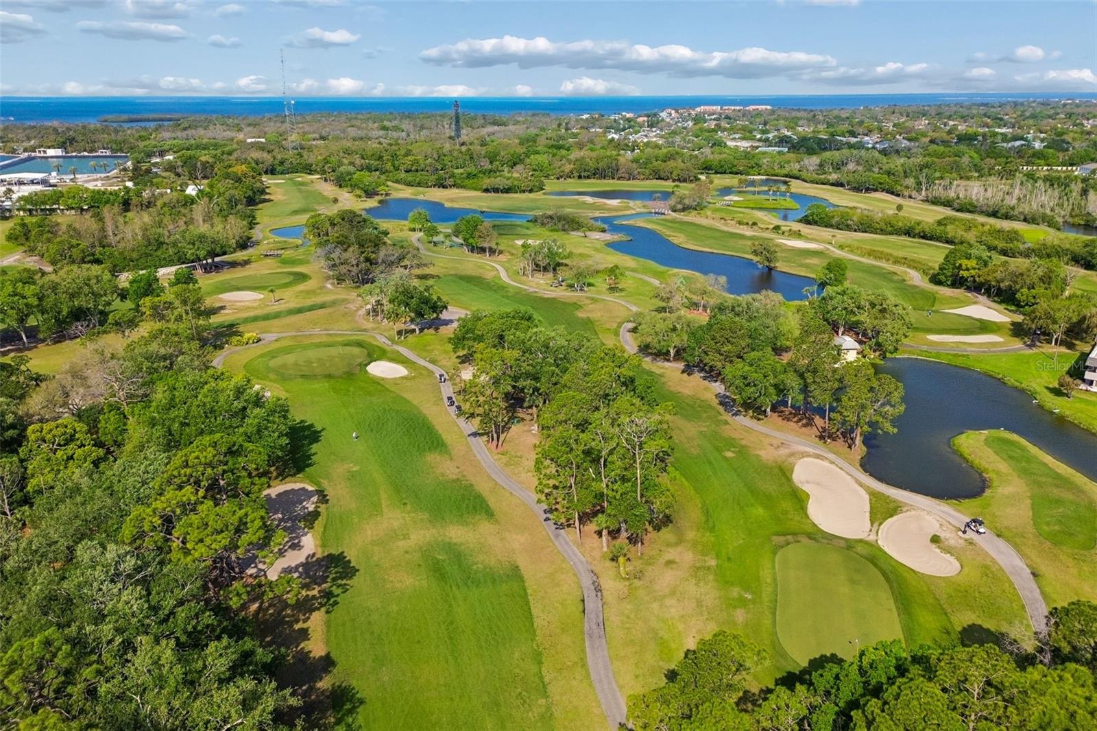 36750 US HIGHWAY 19 N #8-202, PALM HARBOR, FL, 34684