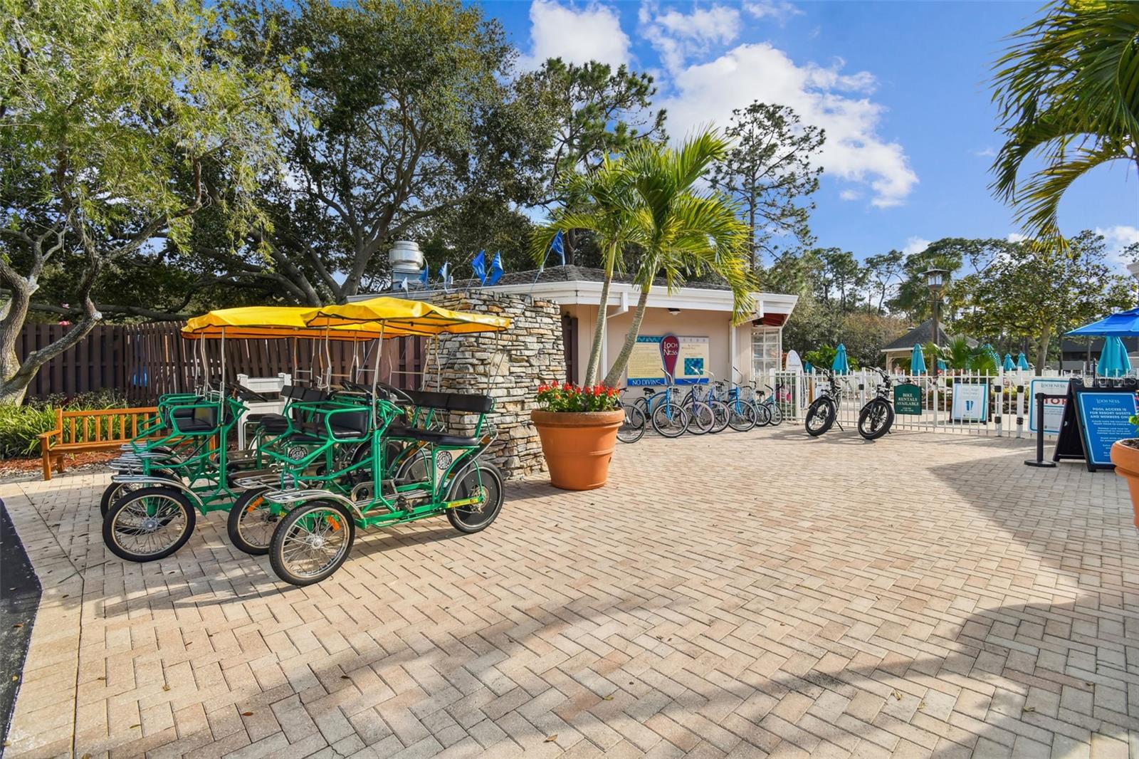 36750 US HIGHWAY 19 N #8-202, PALM HARBOR, FL, 34684